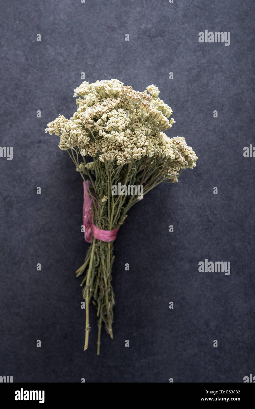 D'épices, d'herbes sur la table , Vue d'en haut Banque D'Images