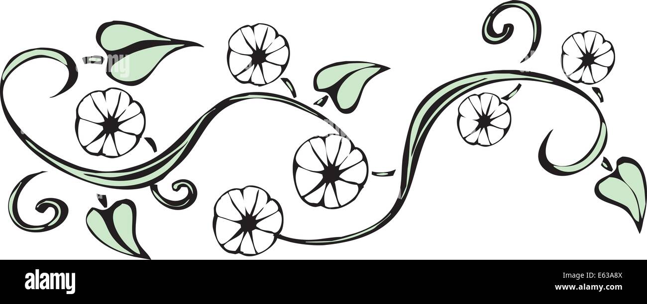 Image Fleurs de twining vines et de fleurs blanches Illustration de Vecteur