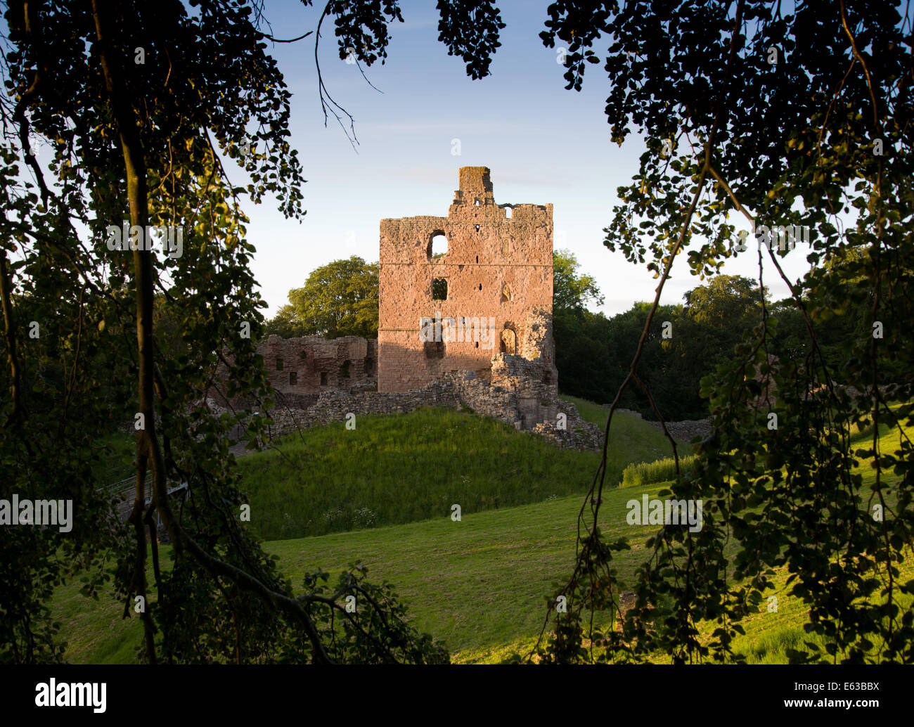 Le donjon du château de Norham sur la frontière écossaise, l'un des principaux châteaux du côté anglais. Banque D'Images
