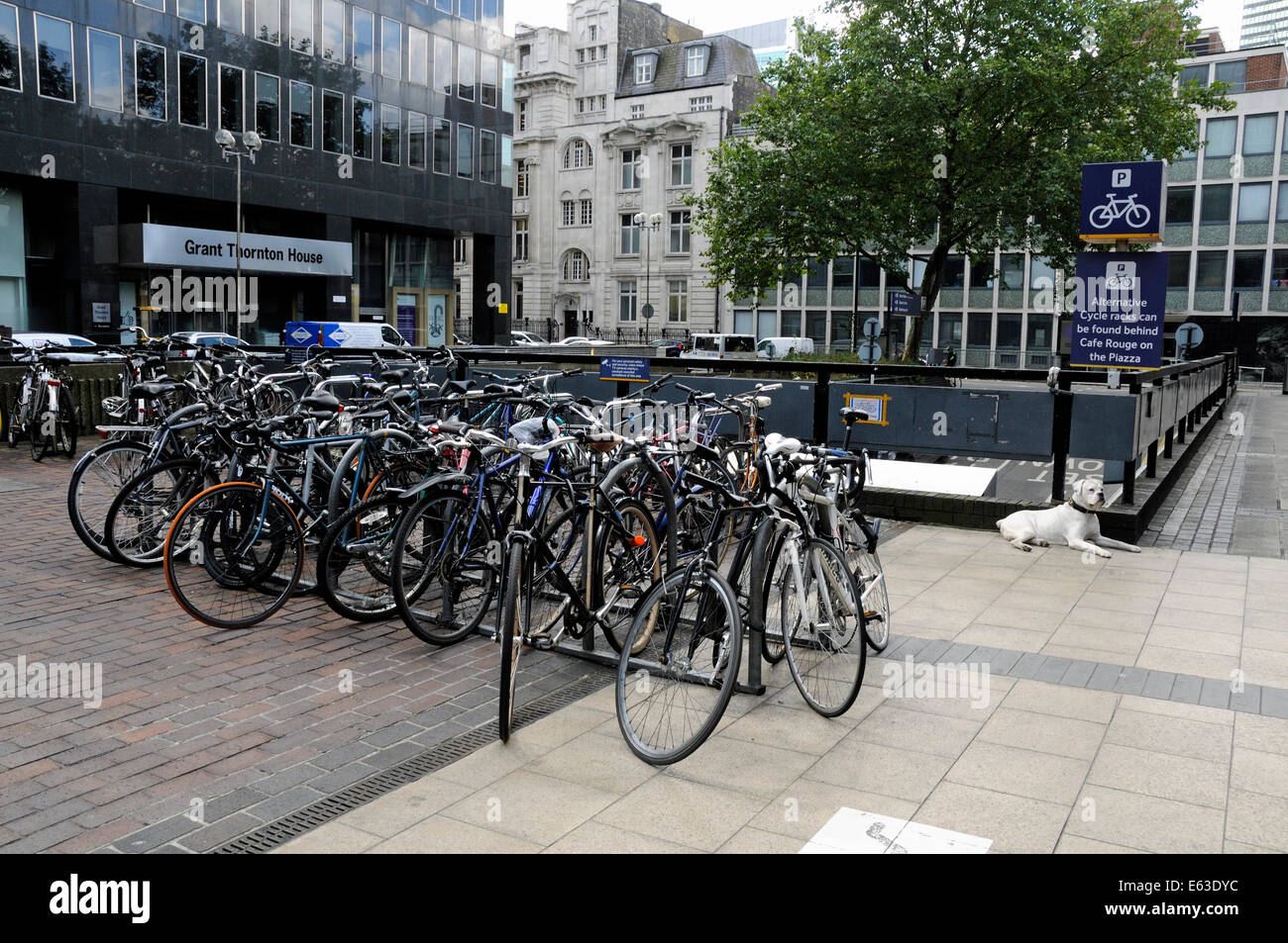 Supports à vélo la Station Euston, Londres Angleterre Royaume-uni Grande-Bretagne Banque D'Images