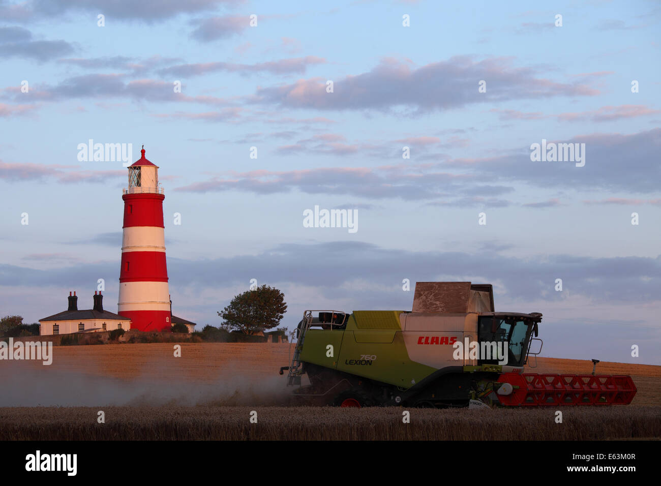 Happisburgh, Norfolk, Royaume-Uni. 13 août 2014. Les agriculteurs course pour mise à la récolte de blé après de fortes pluies a frappé récemment le comté et fortement retardé la récolte. Ici un rendmt Lexion Claas 760 TT est la récolte en face de Happisburgh phare au coucher du soleil. Crédit : Paul Lilley/Digitalshot/Alamy Live News Banque D'Images