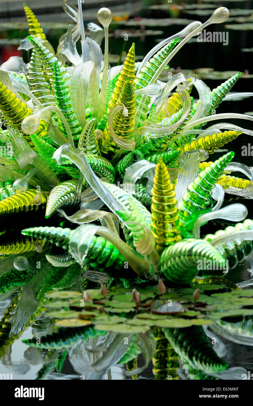 Détail de 'Monet' Fiori Piscine, sculpture de verre par Dale Chihuly, Monet Piscine, jardins botaniques de Denver, Denver, Colorado USA Banque D'Images