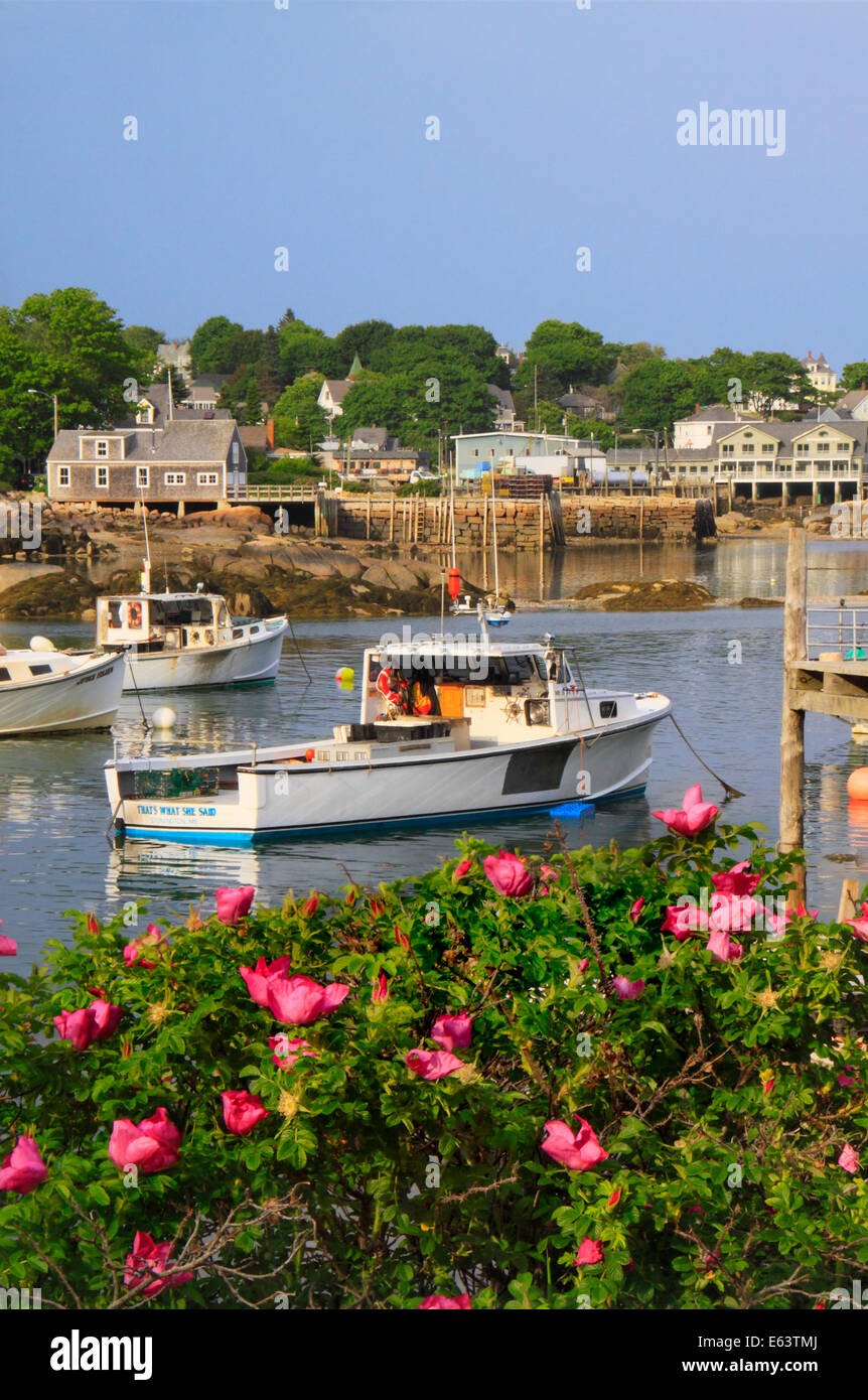 Stonington Harbor, Maine, USA Banque D'Images