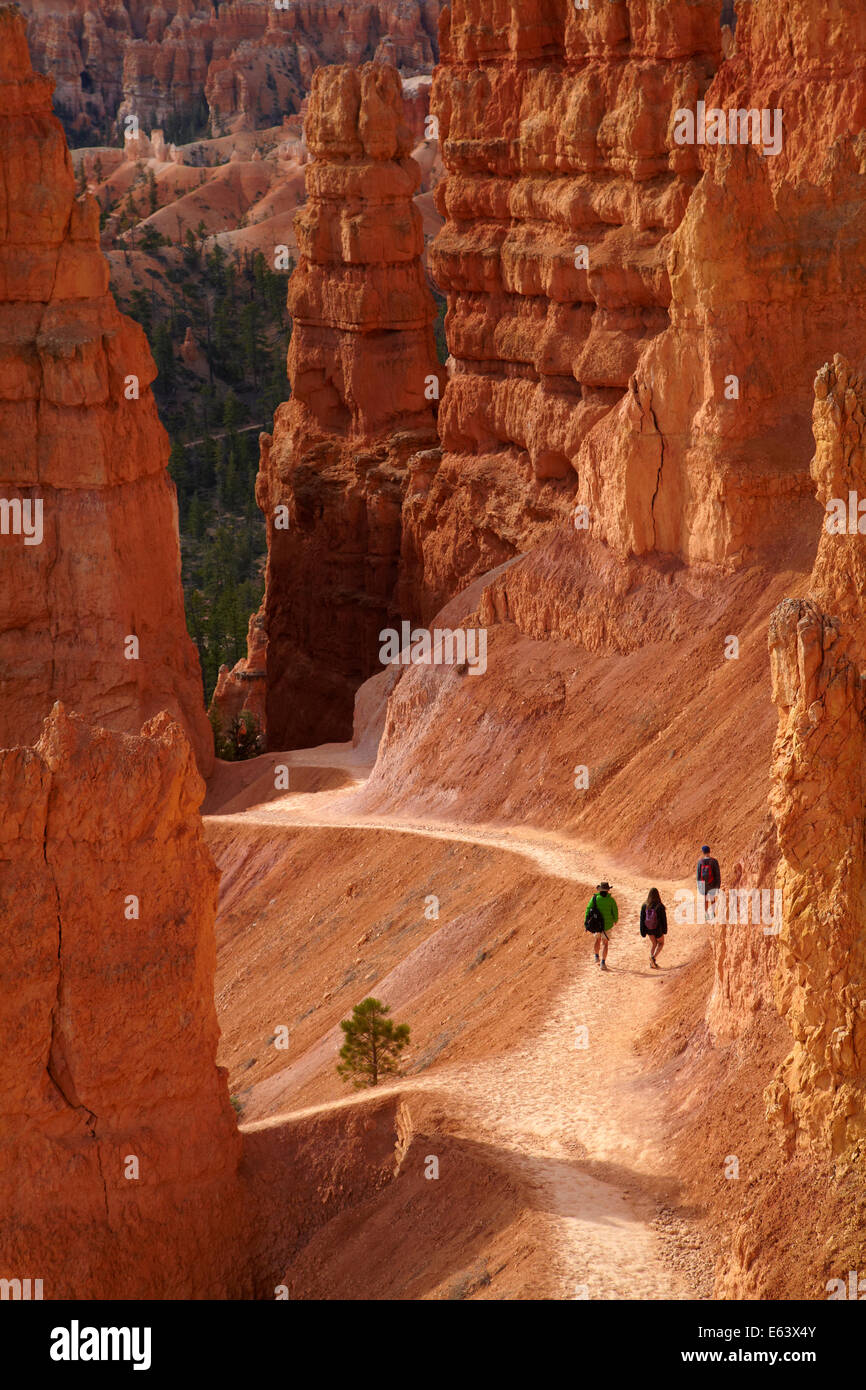 Randonneurs sur le sentier en boucle Navajo à travers les cheminées de fée, Bryce Canyon National Park, Utah, USA Banque D'Images