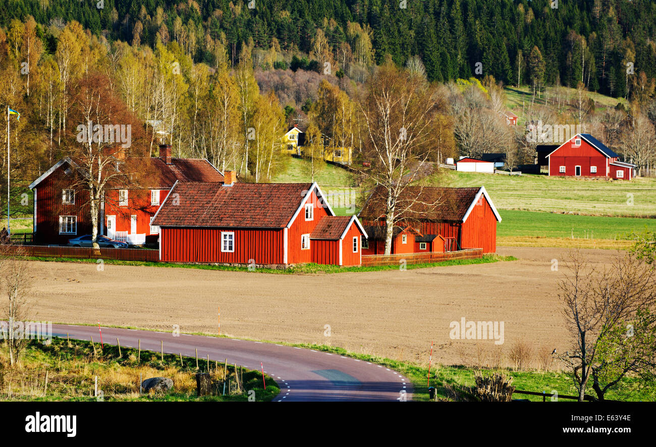 Maisons de ferme rouge situé dans ancien paysage rural, Suède Banque D'Images