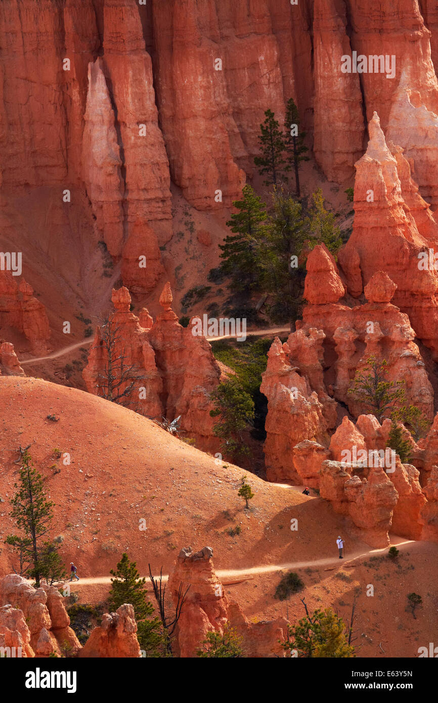 Les randonneurs sur Queen's Garden Trail à travers les cheminées de fée, Bryce Canyon National Park, Utah, USA Banque D'Images