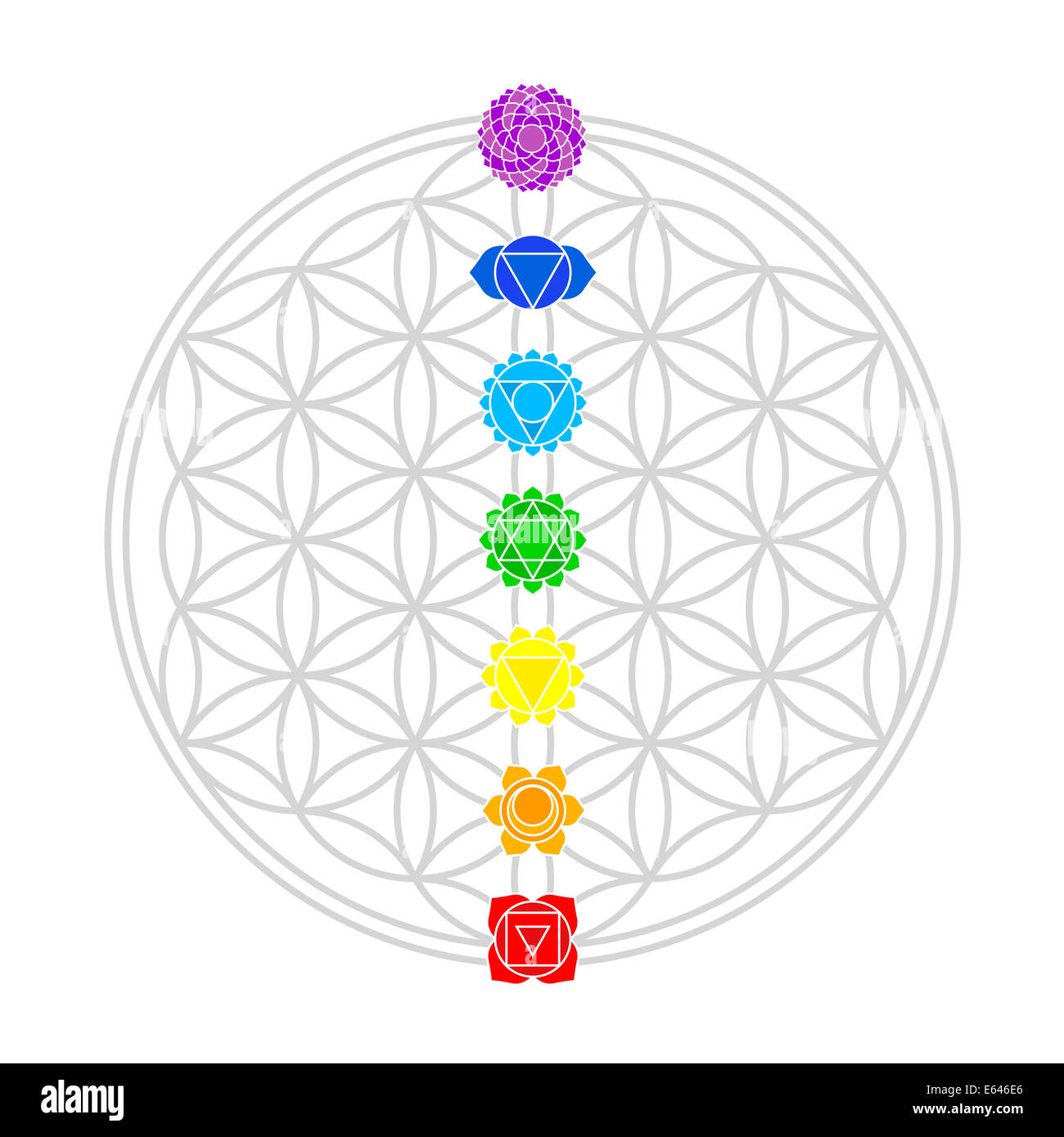 Sept chakras principaux correspondent parfaitement sur les jonctions de la Fleur de vie. Banque D'Images