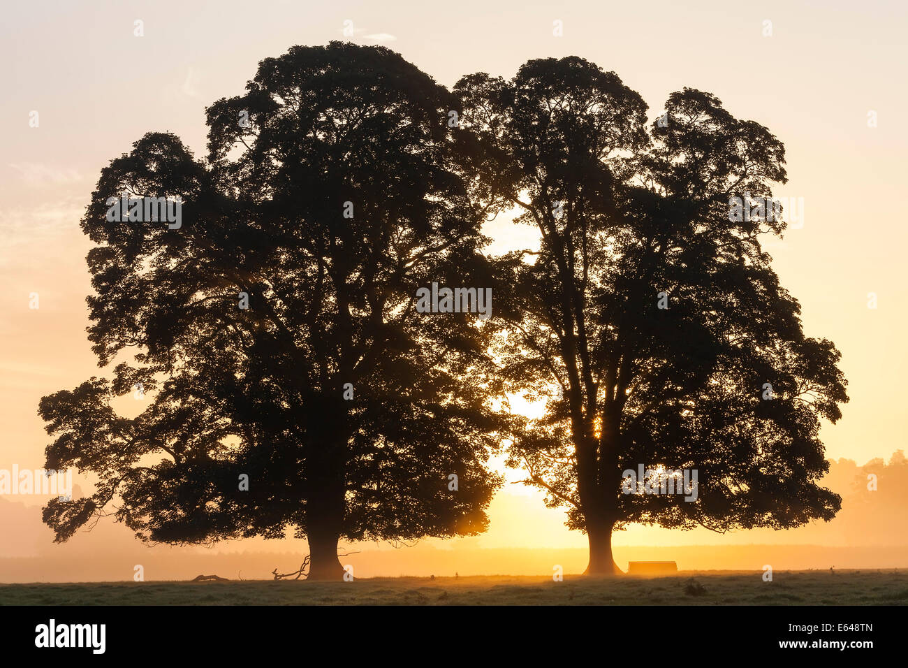 Le lever du soleil, l'Usk Valley, South Wales, UK Banque D'Images