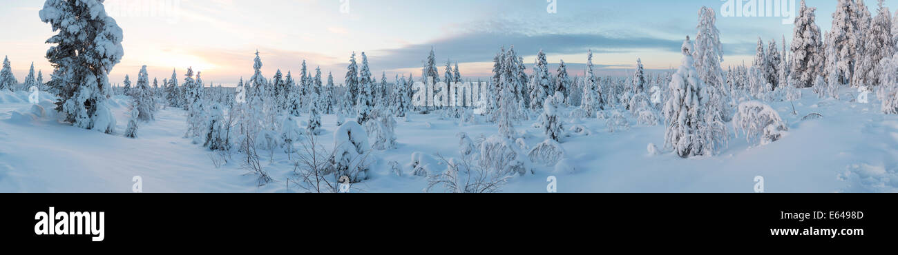 L'hiver dans le Parc National de Riisitunturi, Laponie, Finlande Banque D'Images