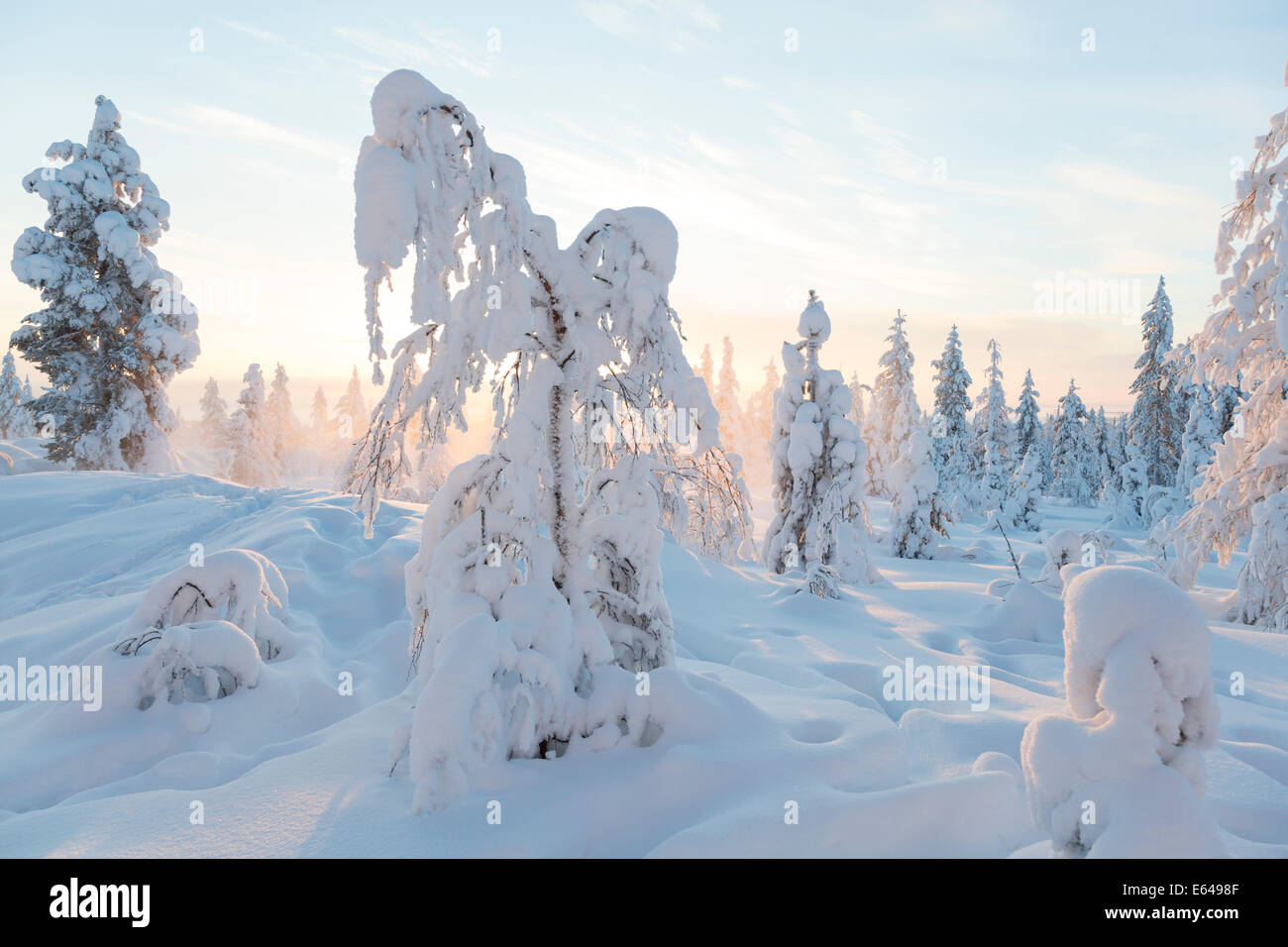 L'hiver dans le Parc National de Riisitunturi, Laponie, Finlande Banque D'Images