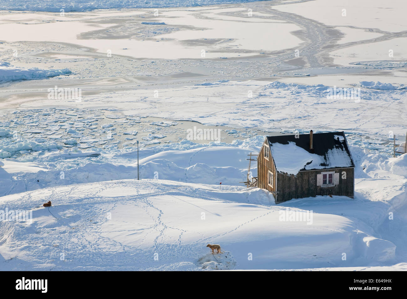 Tiniteqilaq et la glace de mer en hiver, E. Greenland Banque D'Images