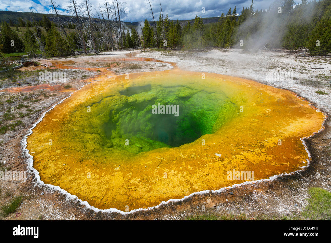 Morning Glory Pool, le Parc National de Yellowstone, Wyoming, USA Banque D'Images