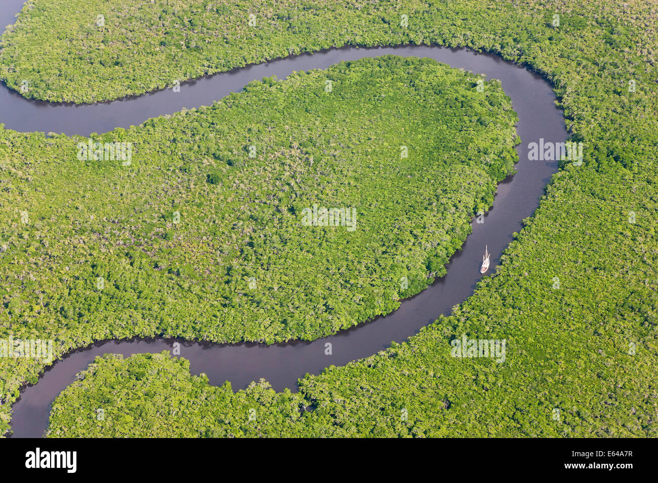Bateau à voile & vue aérienne de la forêt tropicale de Daintree, rivière, parc national de Daintree, Queensland Australie Banque D'Images