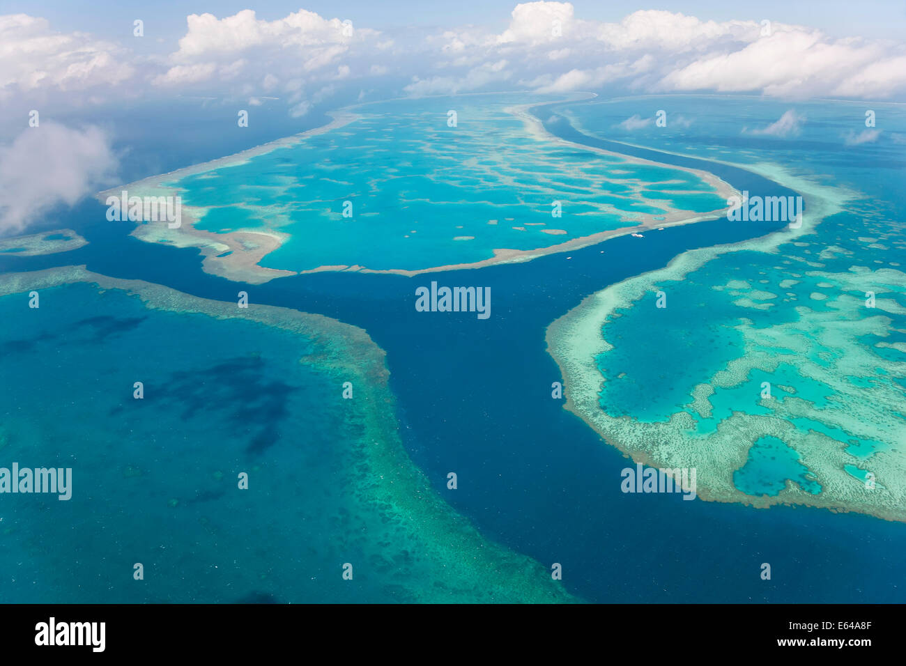 Grande Barrière de Corail, Queensland, Australie Banque D'Images