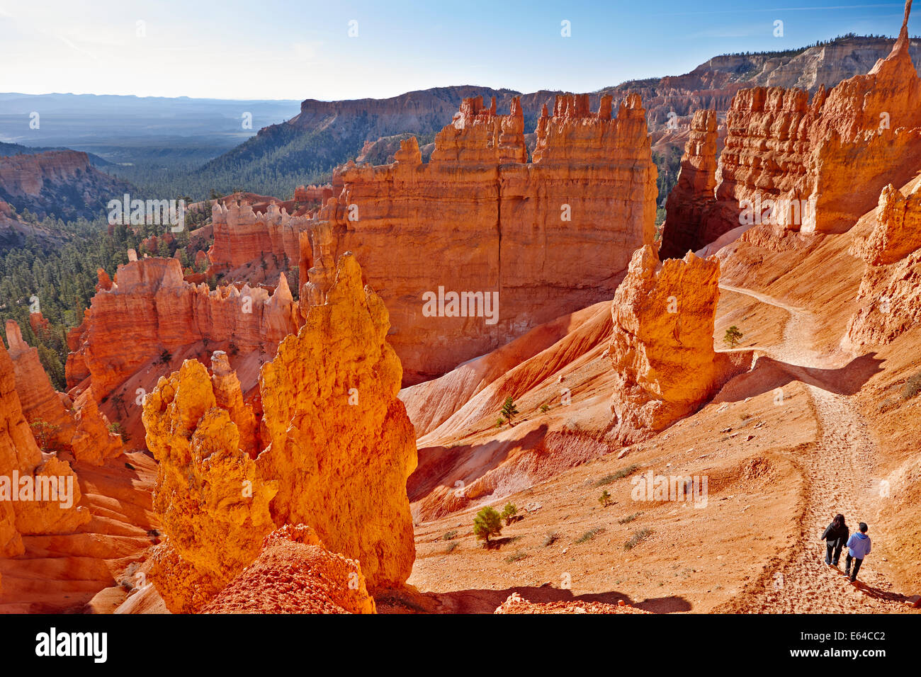 Les roches rouges à Bryce Canyon. L'Utah, USA. Banque D'Images