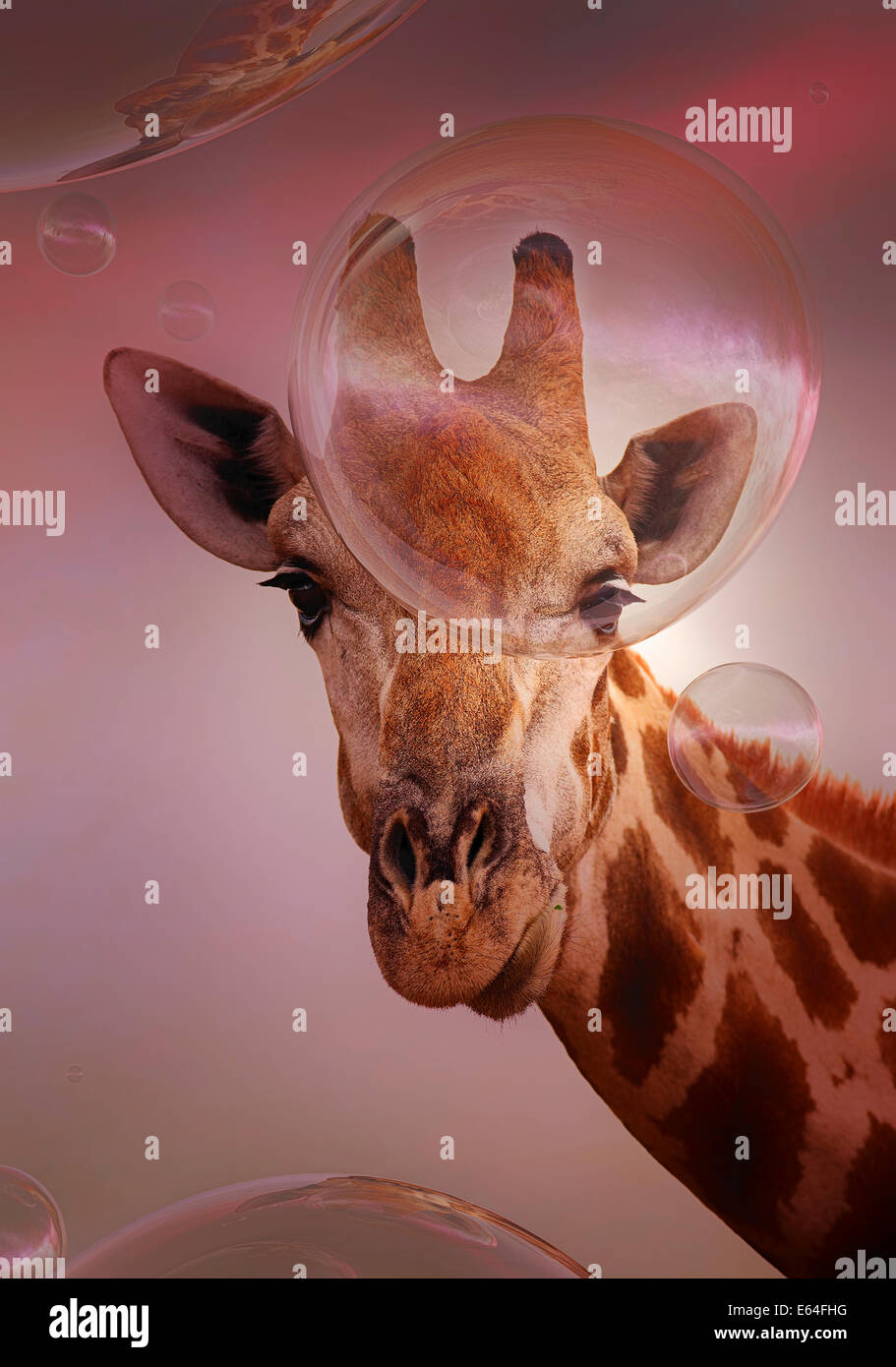 Girafe à flottante à bulles de savon - art numérique Banque D'Images