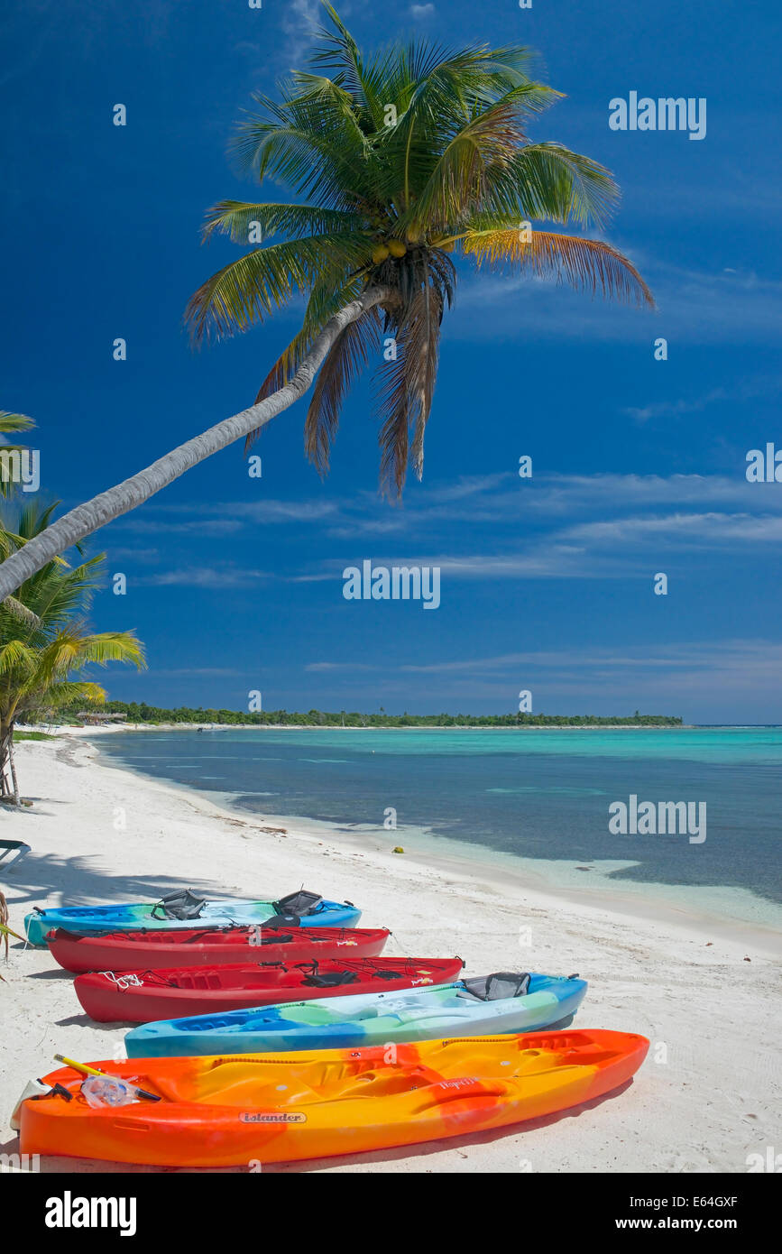 Kayaks palmier et plage Soliman Bay près de Tulum Mexique Yucatan Banque D'Images