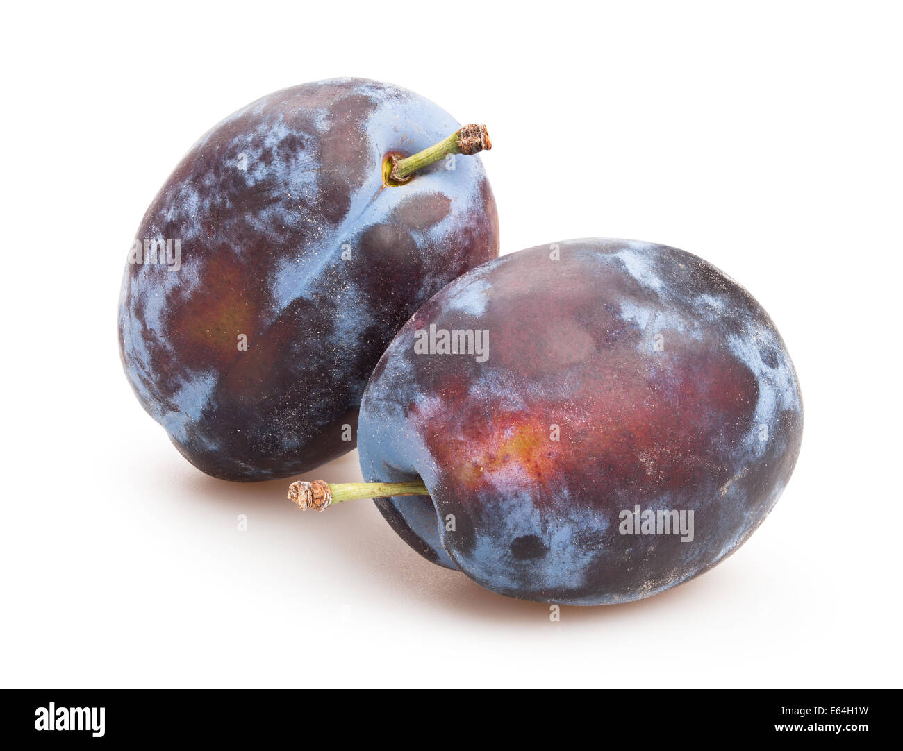 isolé de la prune Banque D'Images