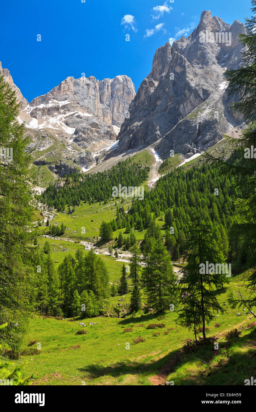 Paysage alpin dans la vallée de Flora alpina, Trentin, Italie Banque D'Images