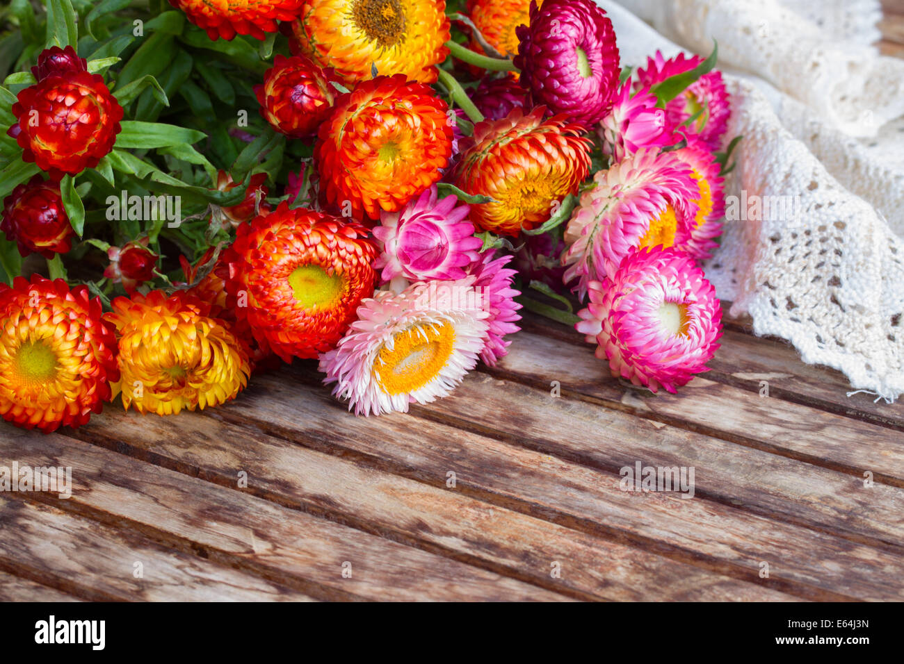 Bouquet de fleurs éternelles sur table Banque D'Images