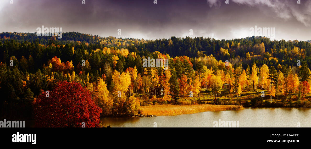 L'automne, paysage d'automne, paysage de Suède Banque D'Images