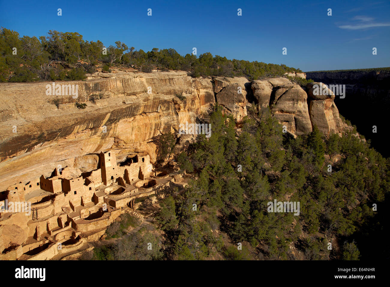 Cliff Palace (plus de 700 ans), le Parc National de Mesa Verde (Site du patrimoine mondial de l'UNESCO), Colorado, USA Banque D'Images