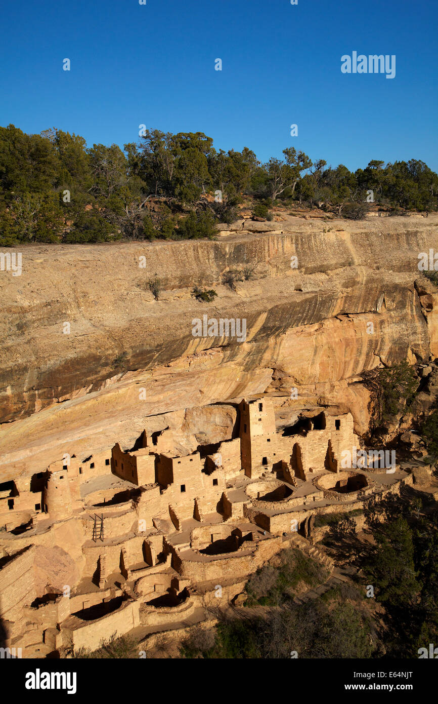 Cliff Palace (plus de 700 ans), le Parc National de Mesa Verde (Site du patrimoine mondial de l'UNESCO), Colorado, USA Banque D'Images
