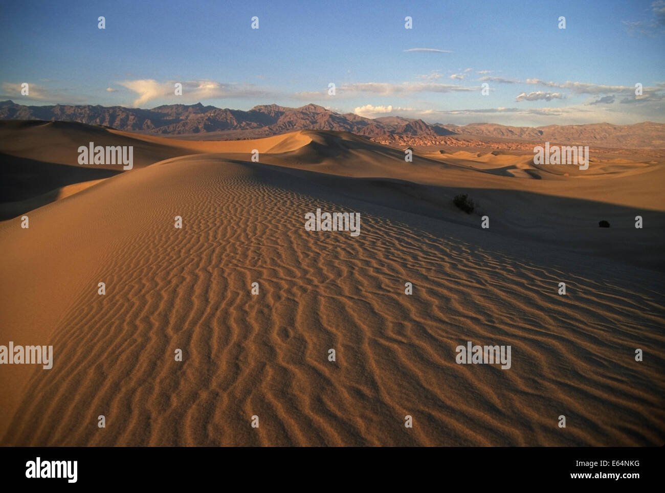 Dunes de sable géantes et le Kit Fox Hills soutenu par l'enterrement des montagnes, Death Valley National Park, en Californie. Banque D'Images
