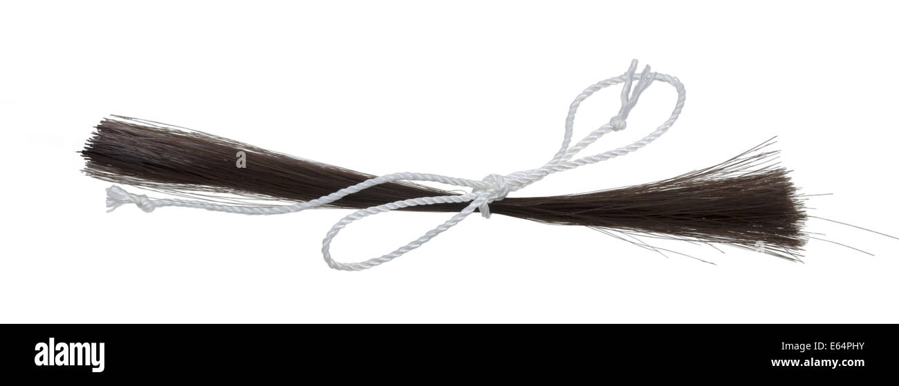 Coupe de cheveux liés avec de la ficelle pour l'enregistrer comme un momento - chemin inclus Banque D'Images