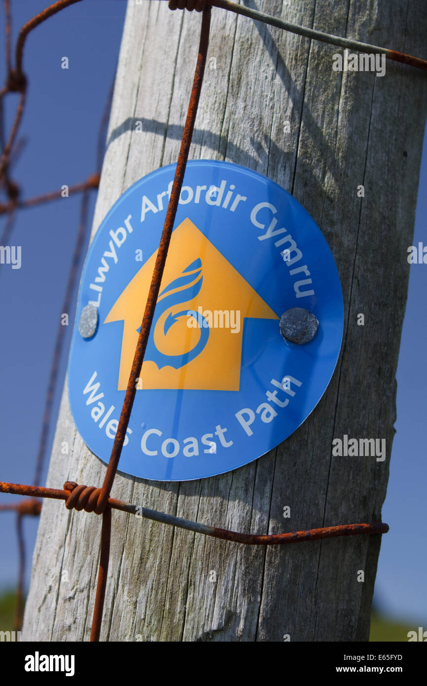 Un signe pour le pays de Galles Coast Path, Llwybr Arfordir Cymru, cloué à un poteau de clôture Banque D'Images