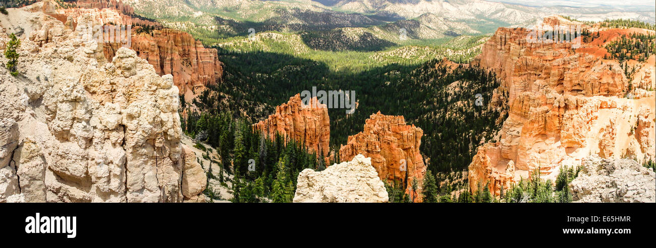 Vue panoramique de la nature spectaculaire à Bryce Canyon Nayional Park. Banque D'Images