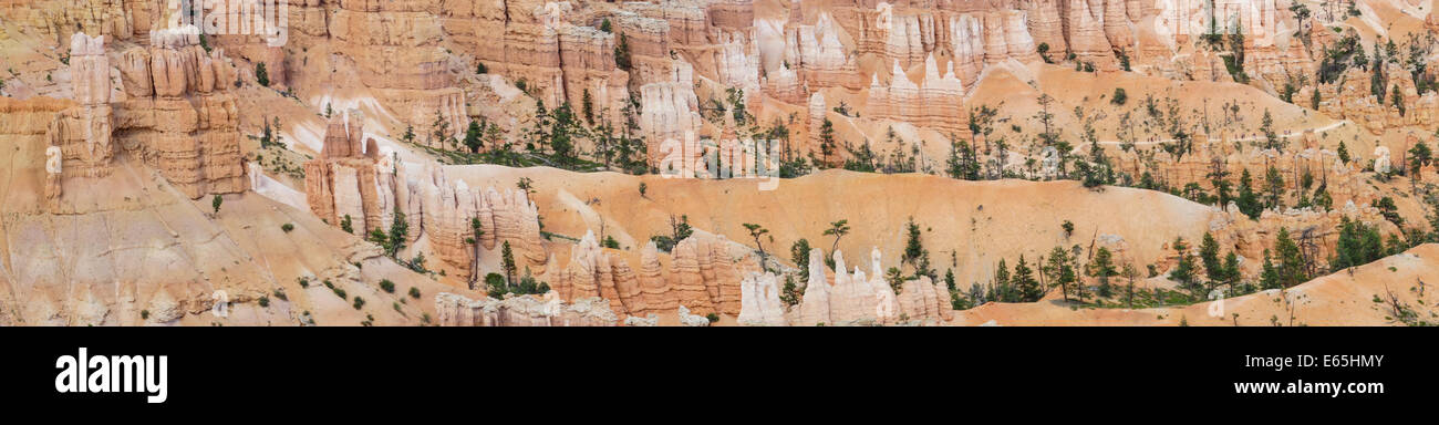 Vue panoramique de la nature spectaculaire à Bryce Canyon Nayional Park. Banque D'Images