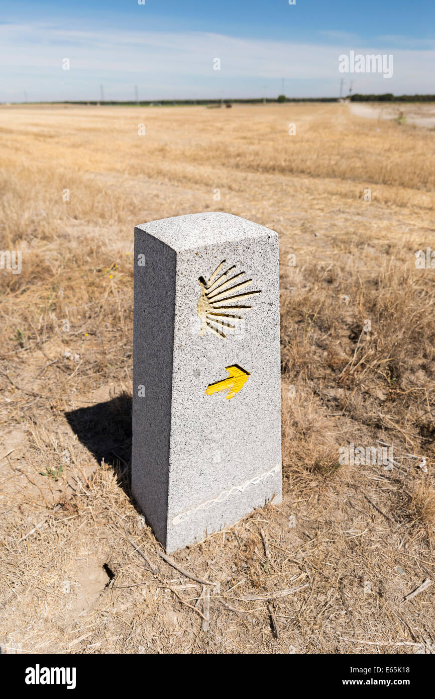 Étape avec le Saint James Shell sur elle, montrant que vous êtes sur la bonne voie sur le Chemin de Saint-Jacques (Camino de Santiago Banque D'Images