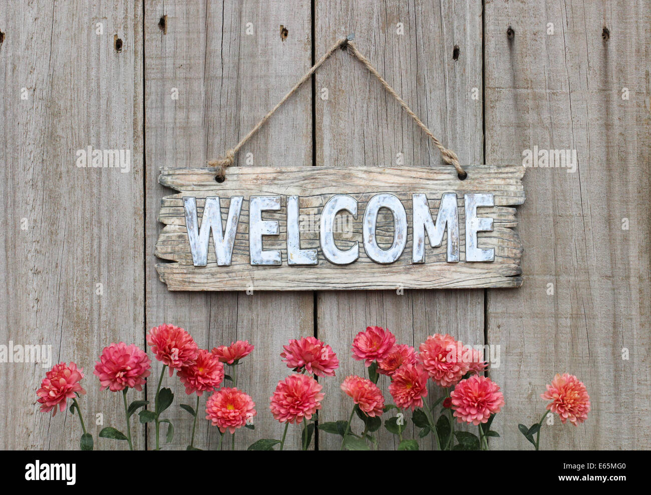 Bienvenue rustique sign sur weathered wood clôture avec fleur d'automne frontière de mamans Banque D'Images