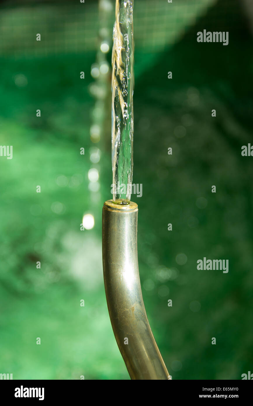 Un robinet d'eau et d'accumulation de gaspiller beaucoup d'eau sur le terrain Banque D'Images