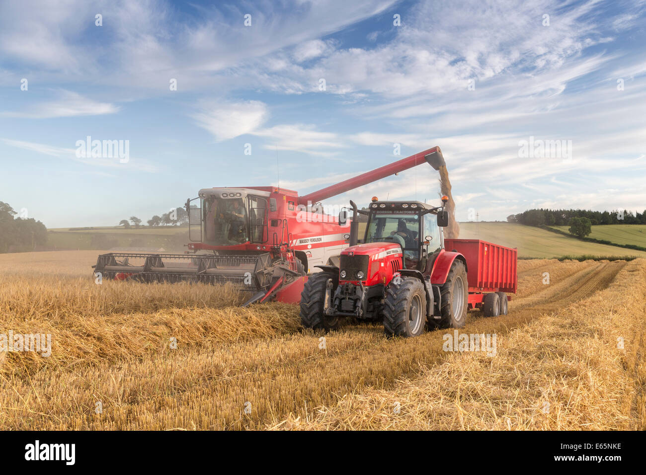 La récolte d'été ayant lieu sous un ciel bleu du soir à Skeeby Nr Richmond North Yorkshire UK sur St Swithin's Day 15 Juillet 2014 Banque D'Images
