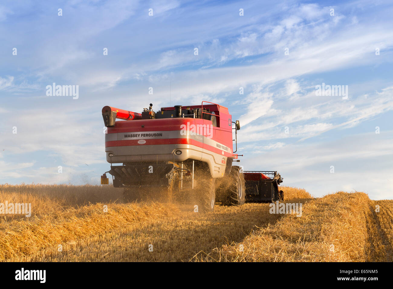 La récolte d'été ayant lieu sous un ciel bleu du soir à Skeeby Nr Richmond North Yorkshire UK sur St Swithin's Day 15 Juillet 2014 Banque D'Images