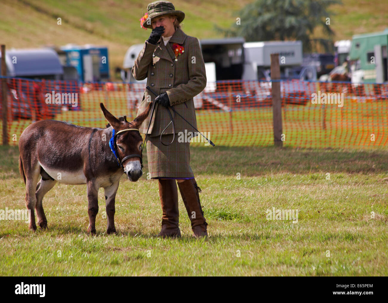 L'Ellingham & Ringwood Agricultural Society Show annuel à Somerley Park, Ellingham, Ringwood, Hampshire, Royaume-Uni en août Banque D'Images