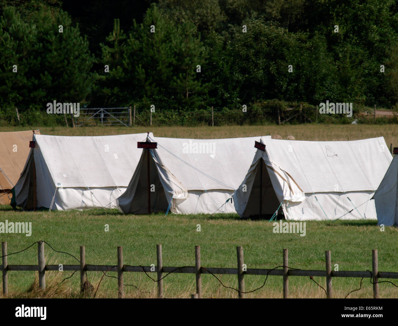 Rangée de tentes de toile, UK Banque D'Images