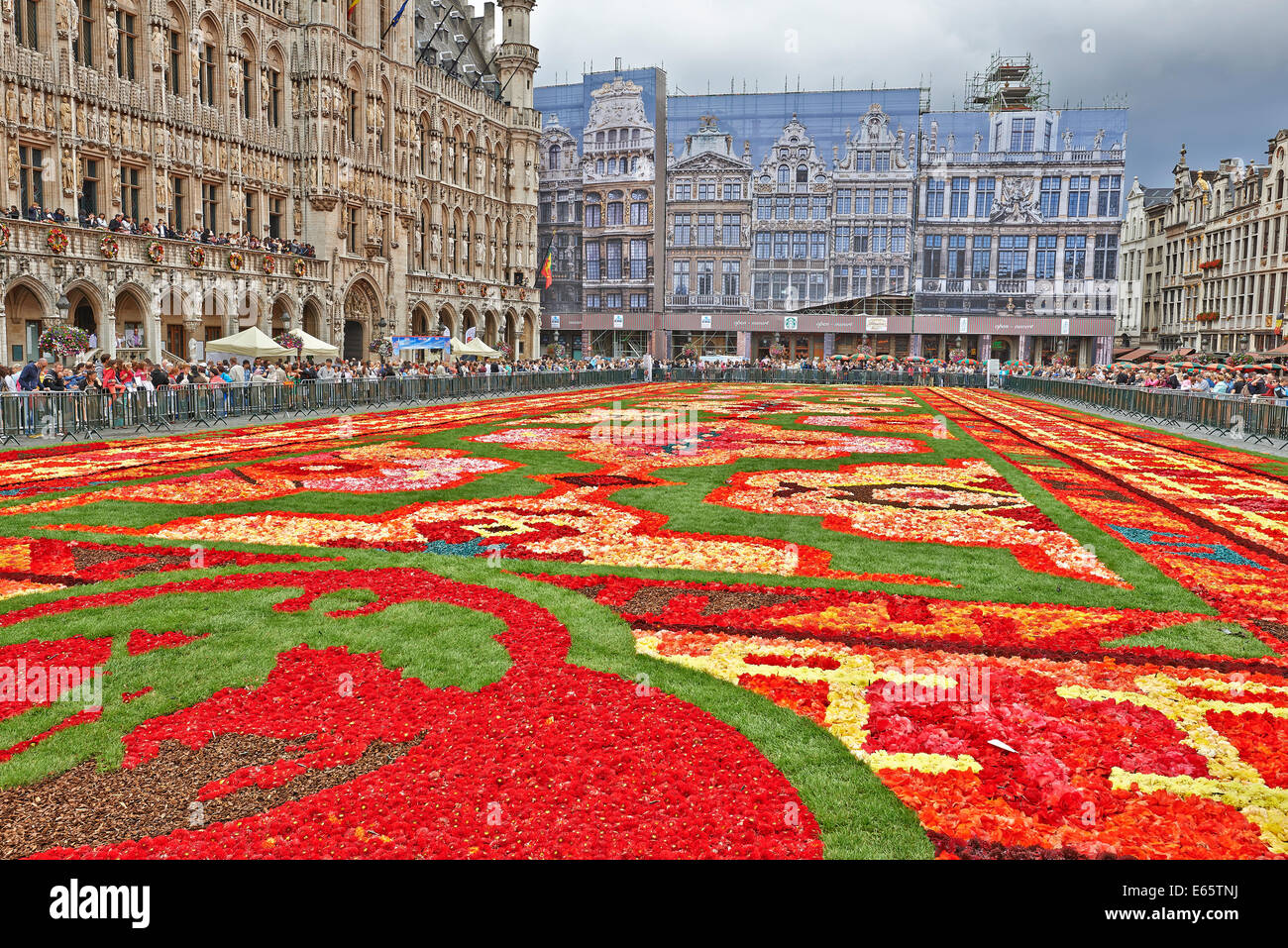 Bruxelles, Belgique. 15e Août, 2014. Un immense tapis est fait avec 600 000  fleurs de bégonia pour les fêtes du 50e anniversaire de la migration des  travailleurs turcs de Belgique à Grand