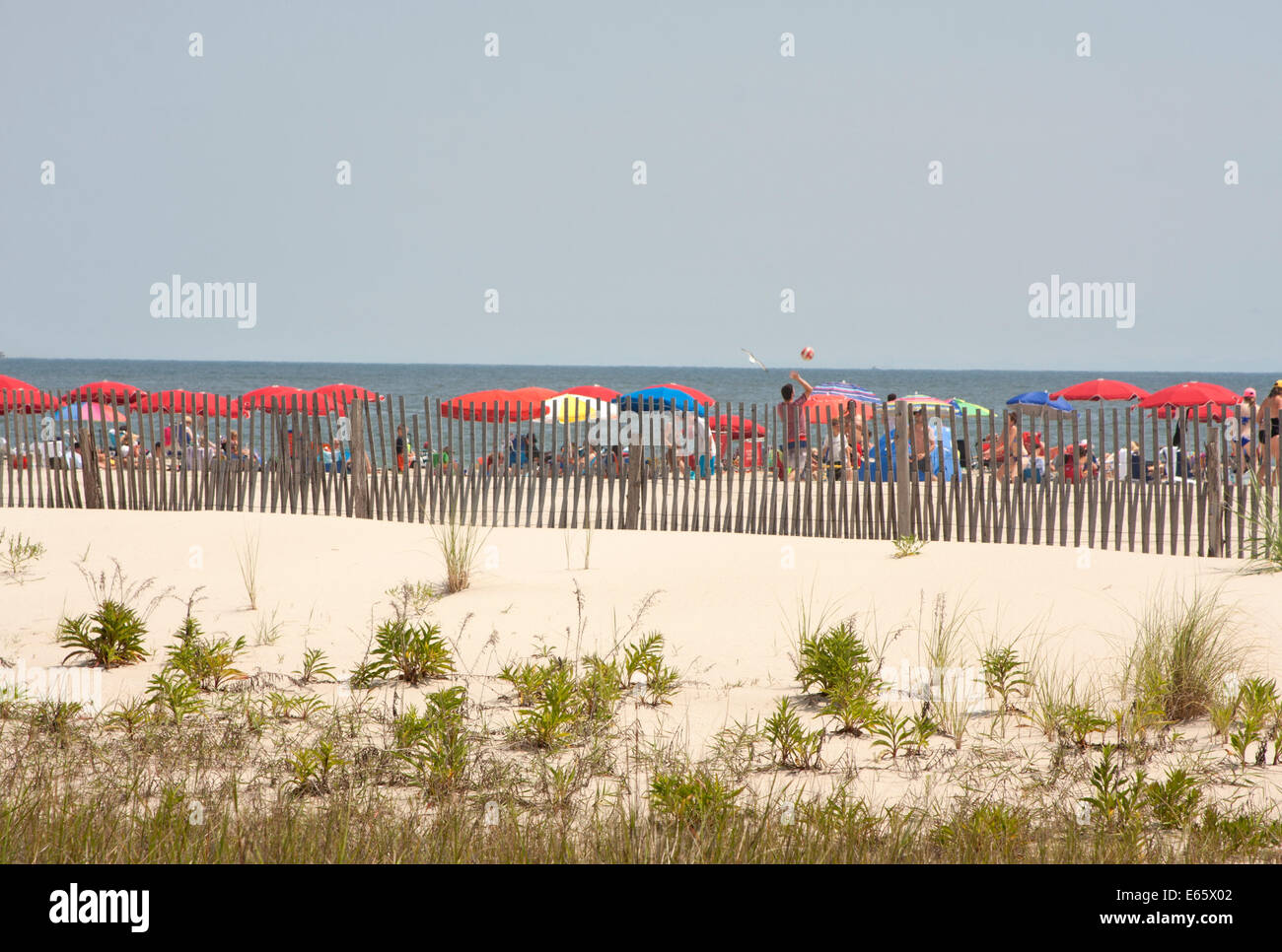 Les amateurs de plage et parasols à Cape May, New Jersey Banque D'Images