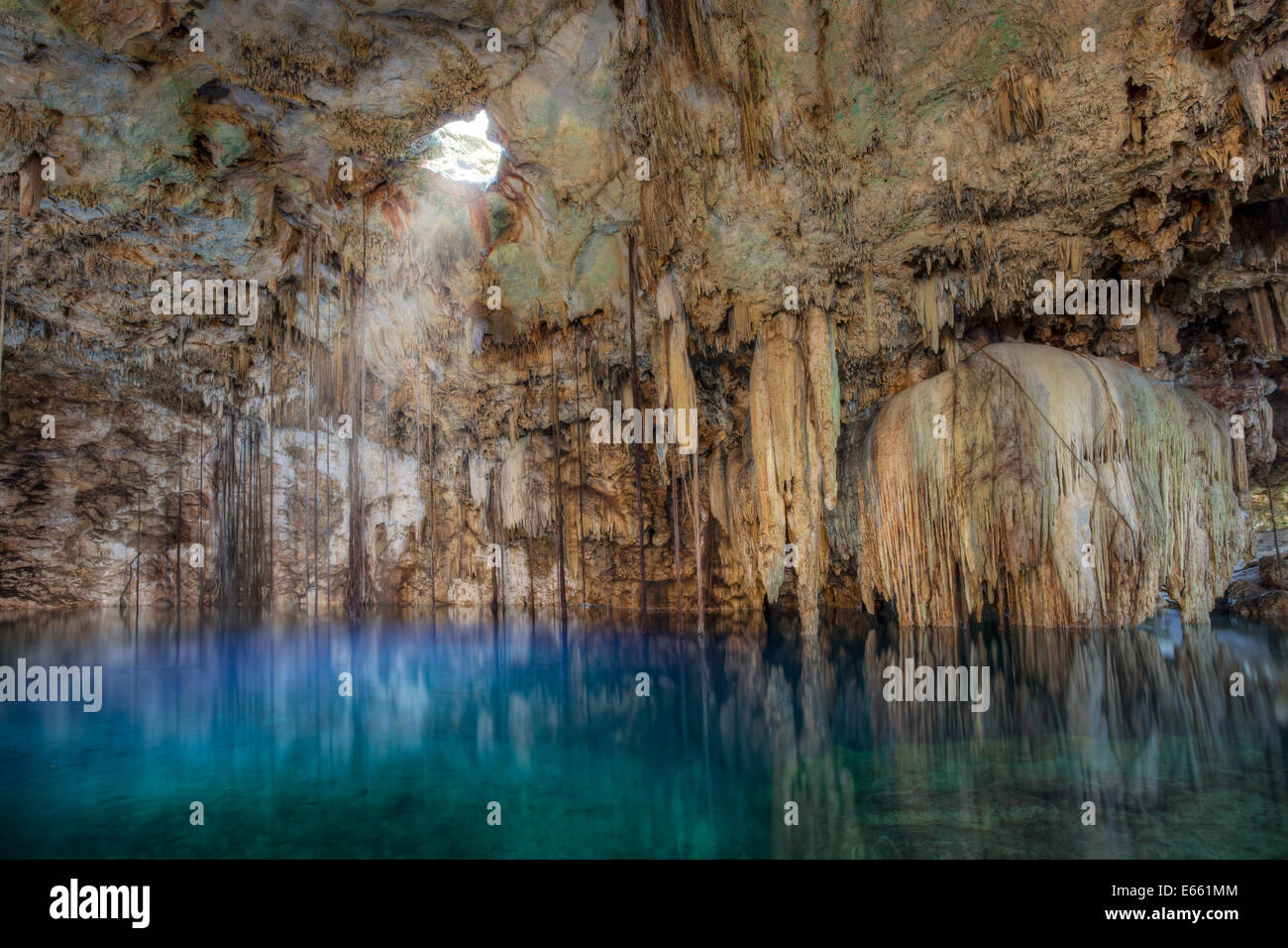 La lumière du jour filtre à travers le dessus de la cenote Xkeken près de Valladolid, Yucatan, Mexique. Banque D'Images