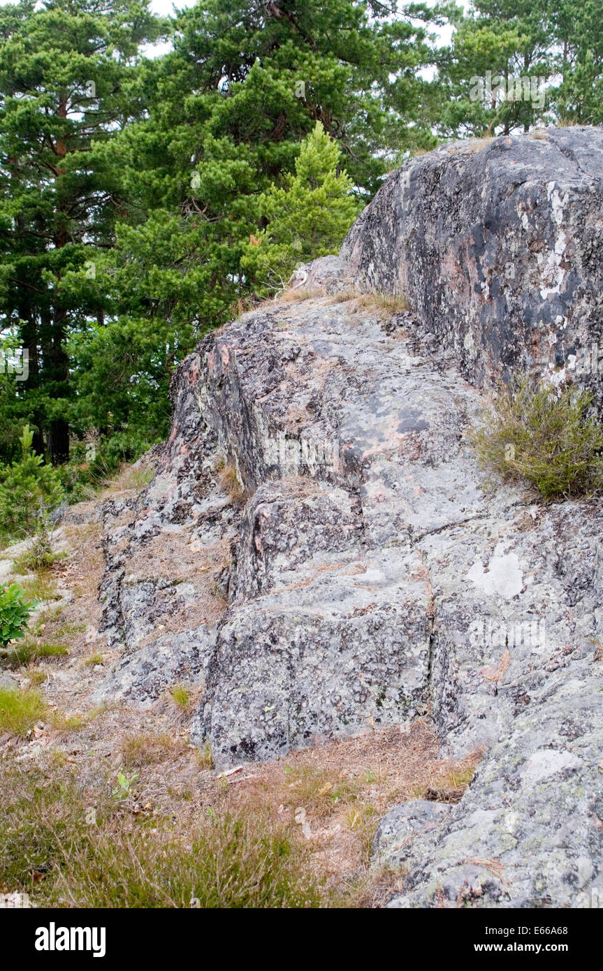 Roche roches de granit suédois la Suède les forêts Les forêts géologie Banque D'Images