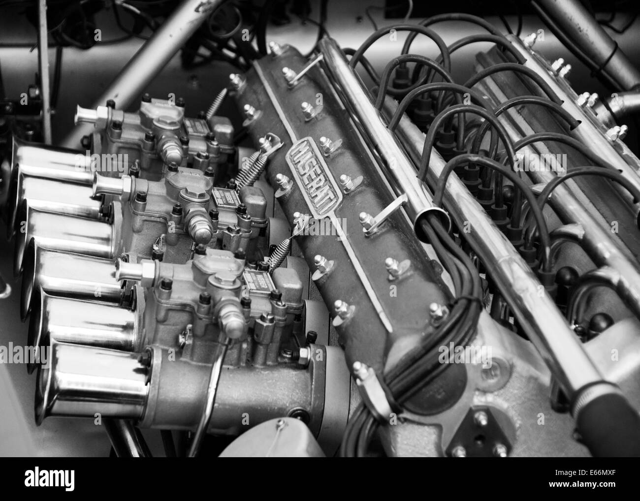 Moteur Maserati classique en noir et blanc prises au Goodwood Festival of Speed Banque D'Images