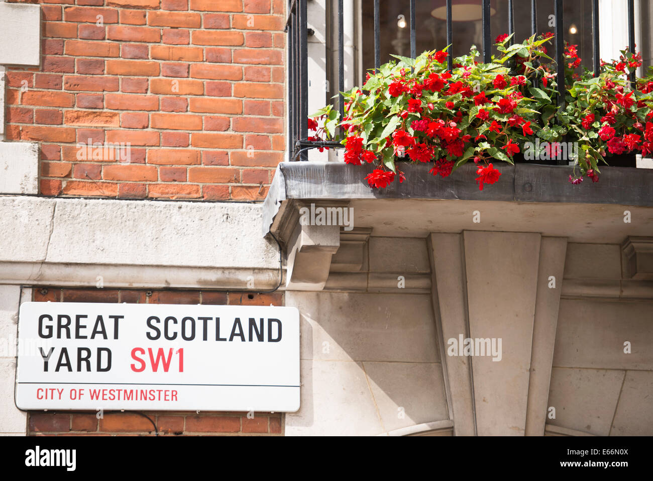 Plaque de rue 'Great Scotland Yard SW1' avec des géraniums rouges sur une petite fenêtre balcon Banque D'Images
