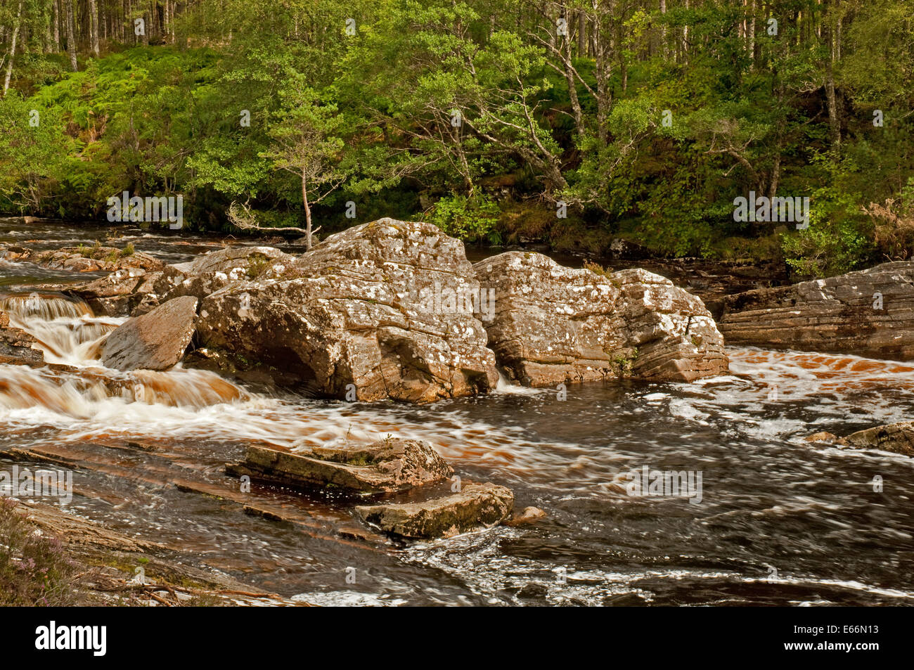 Blackwater River à peu Garve en crue après l'Ex-Hurricane Bertha Banque D'Images