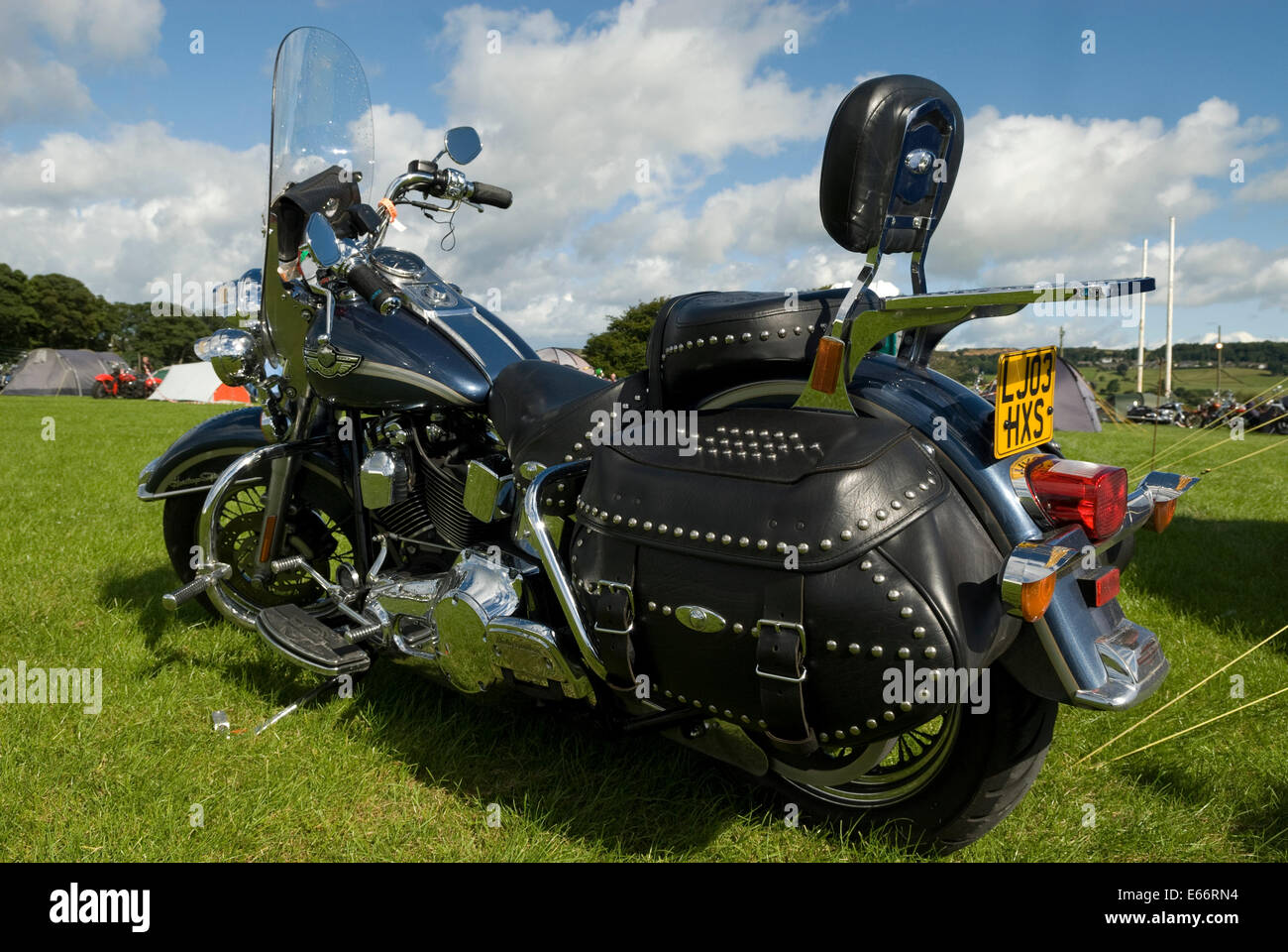Customised harley davidson motorcycle Banque de photographies et d ...