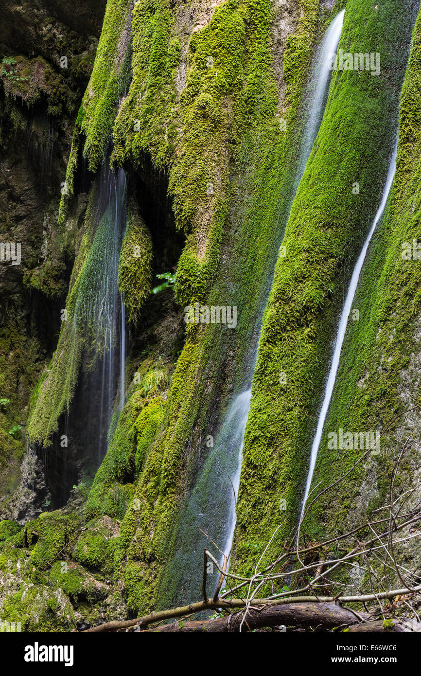 Cours supérieur de la rivière Ruzzo Banque D'Images