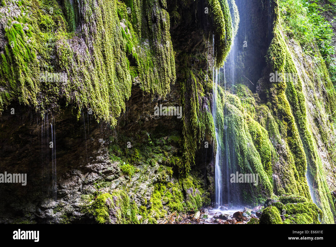Cours supérieur de la rivière Ruzzo Banque D'Images