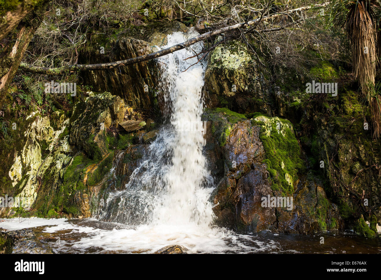 Cascade, Overland track, Tasmanie Banque D'Images